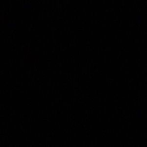 Meet your Posher, Jadah